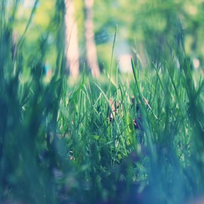 1920 x 1080 HD Wallpapers 1986